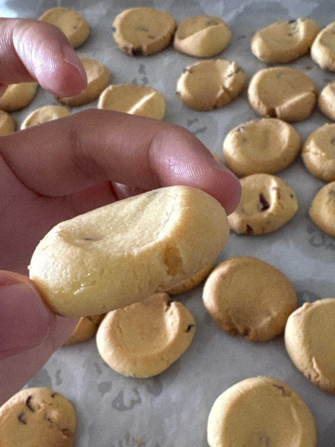 宝宝零食篇|低糖版玛格丽特蔓越莓饼干