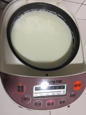 生鲜牛奶做的酸奶的做法 步骤3