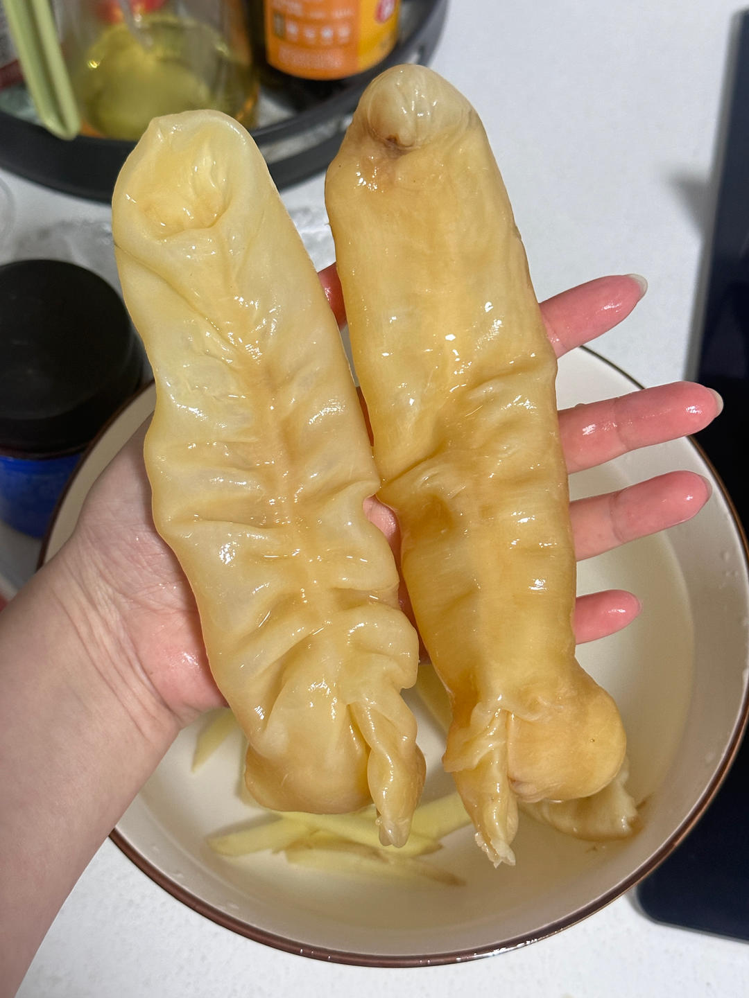 花胶泡发（新手学得会）