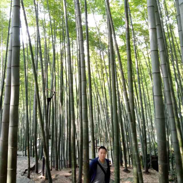 剑在弦上