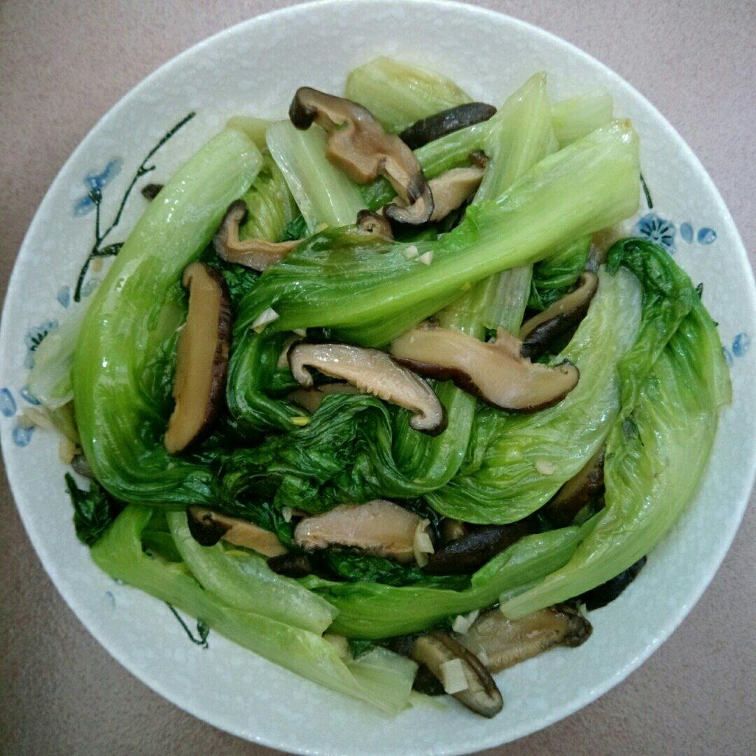 懒人菜单 五分钟蚝油香菇生菜