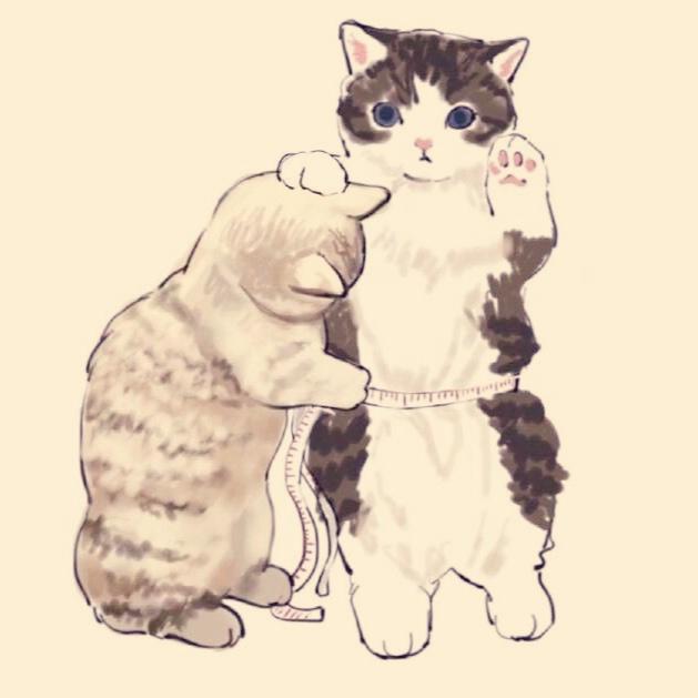 猫猫与耗仔