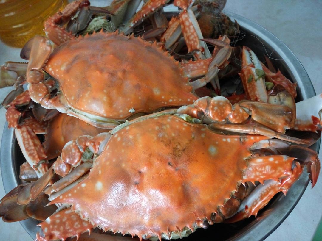清蒸螃蟹