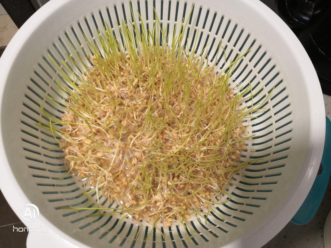 超简单的自制麦芽糖