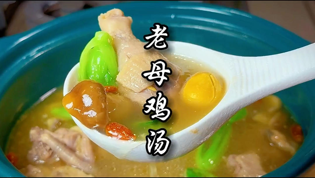 老母雞燉湯