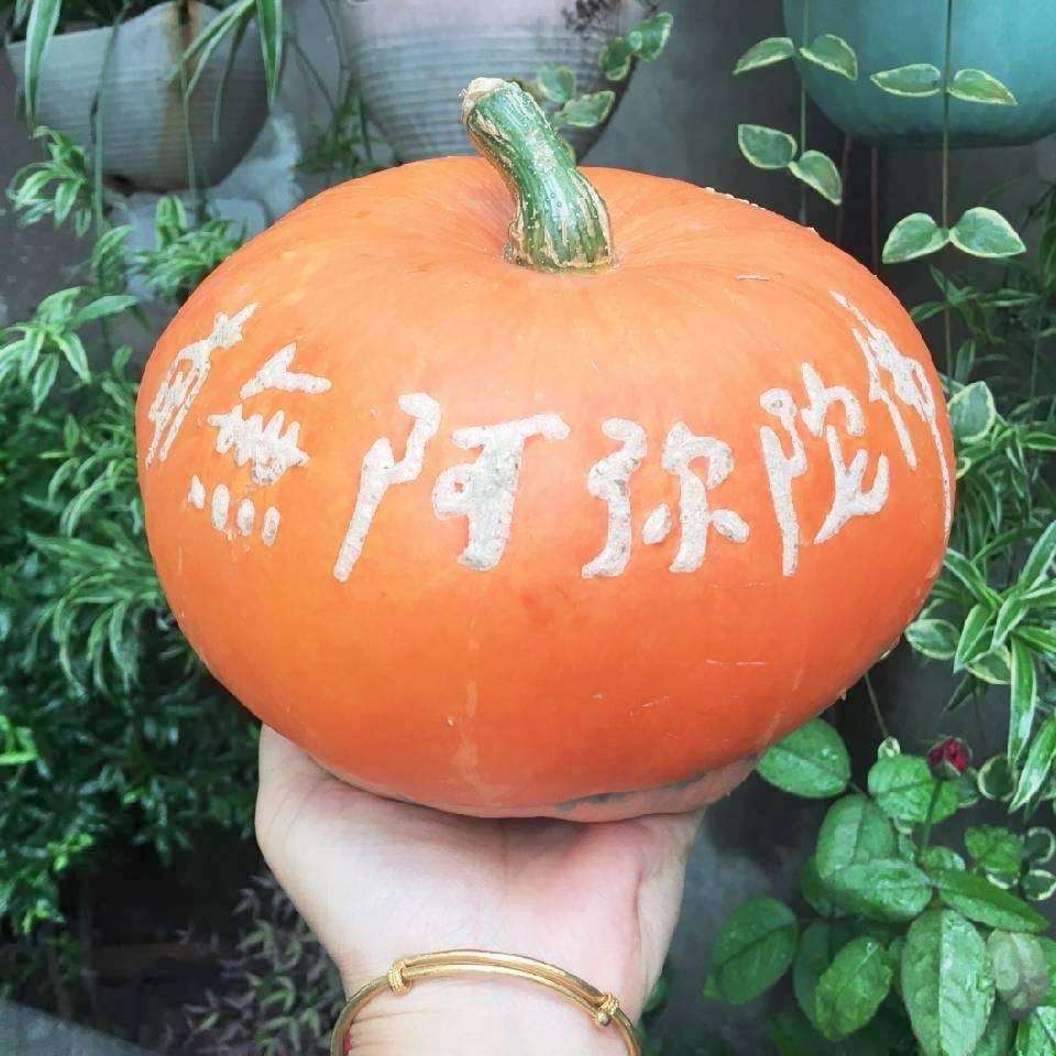 爱下厨的何必