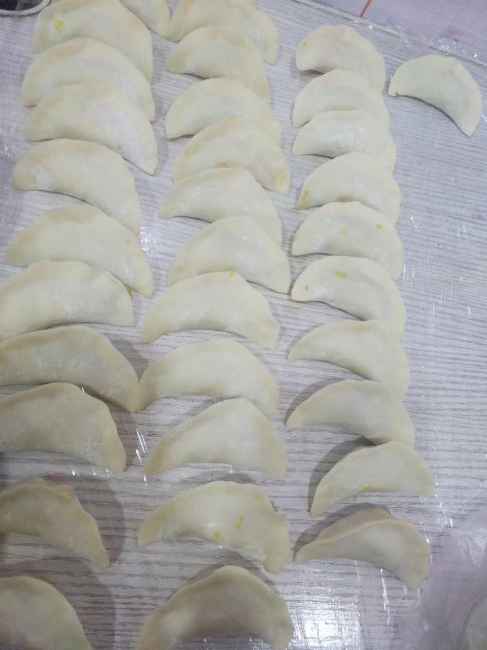 韭菜猪肉饺子(最简单最好吃又最多汁的饺子)