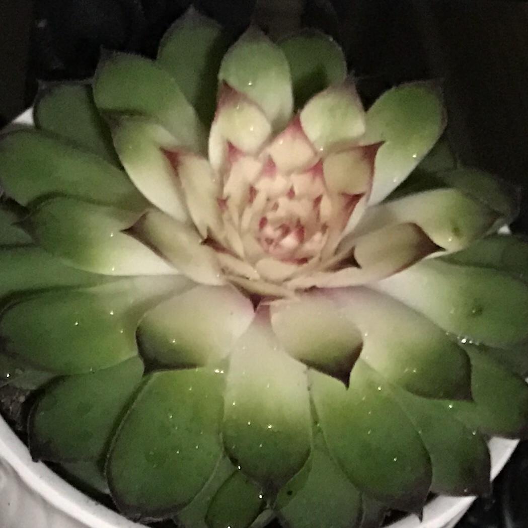 手机用户4622_u7ob