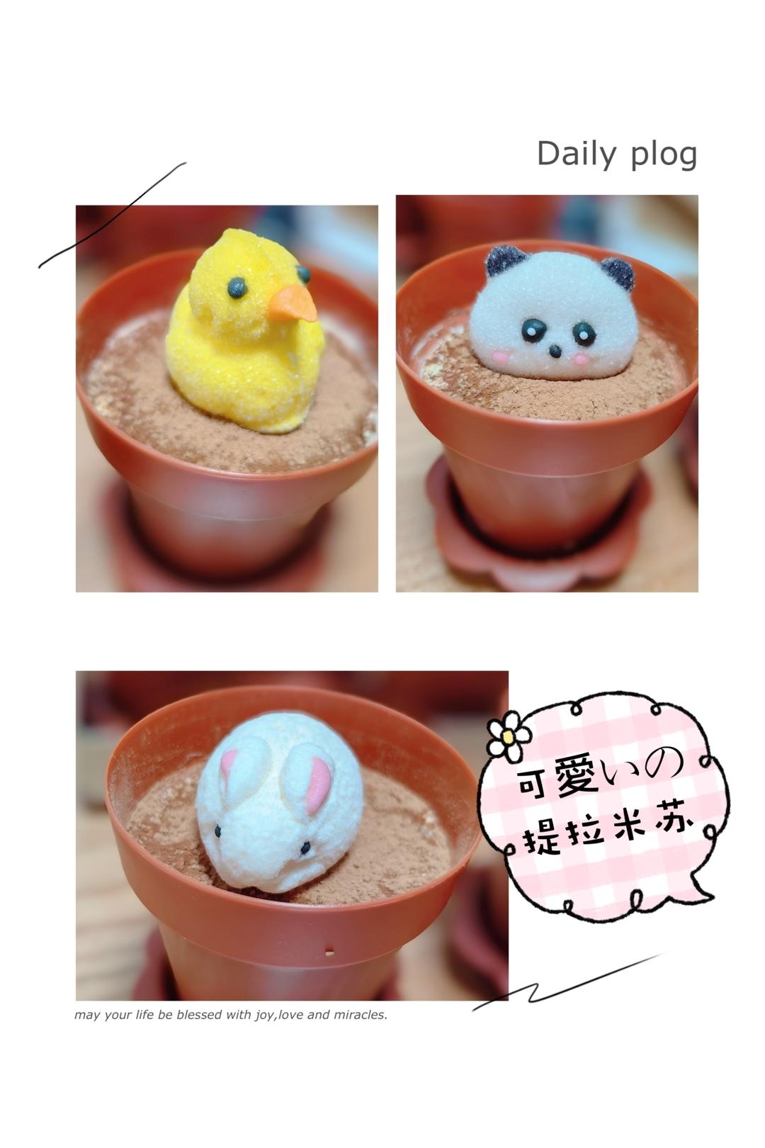 提拉米苏