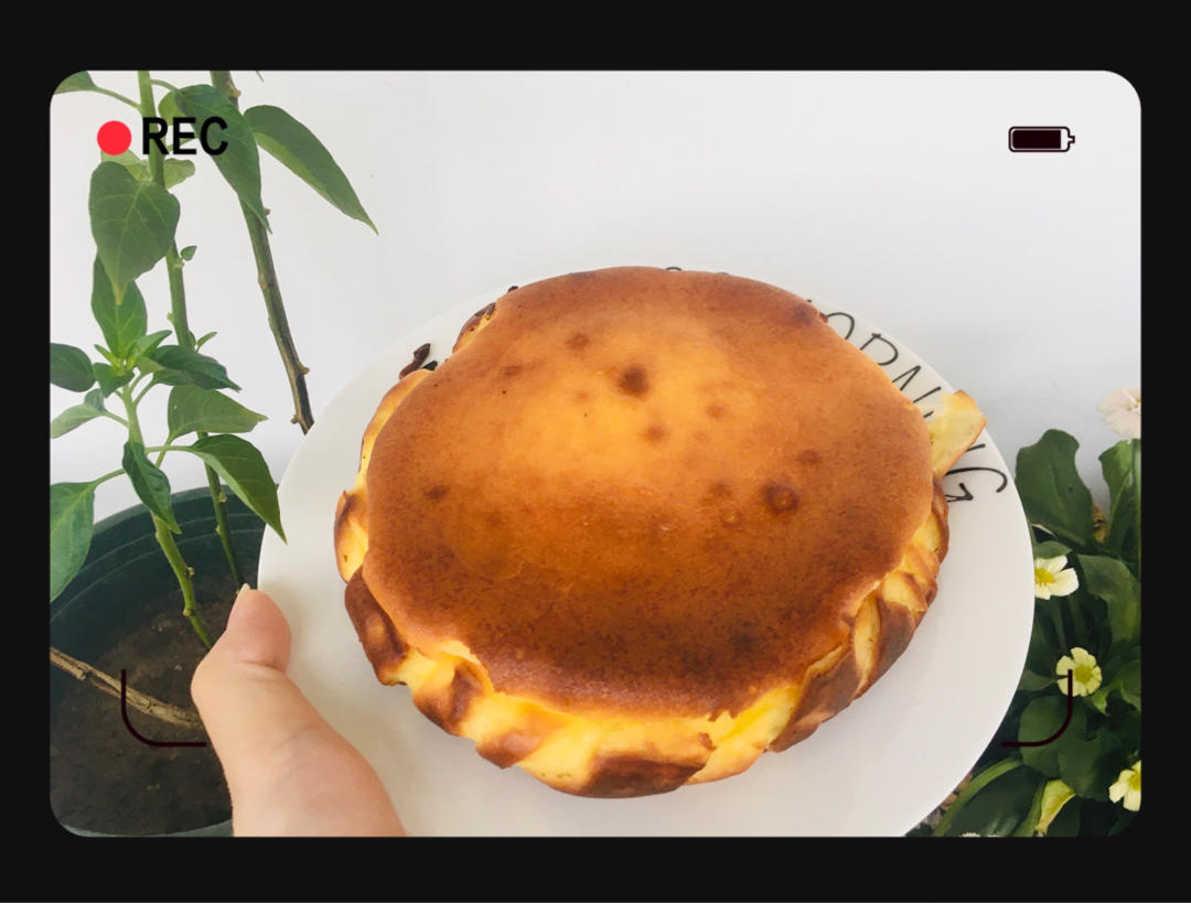 巴斯克芝士蛋糕『最简单的蛋糕』零失败🔥芝士控