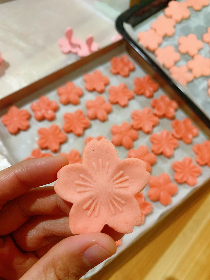 樱花饼干