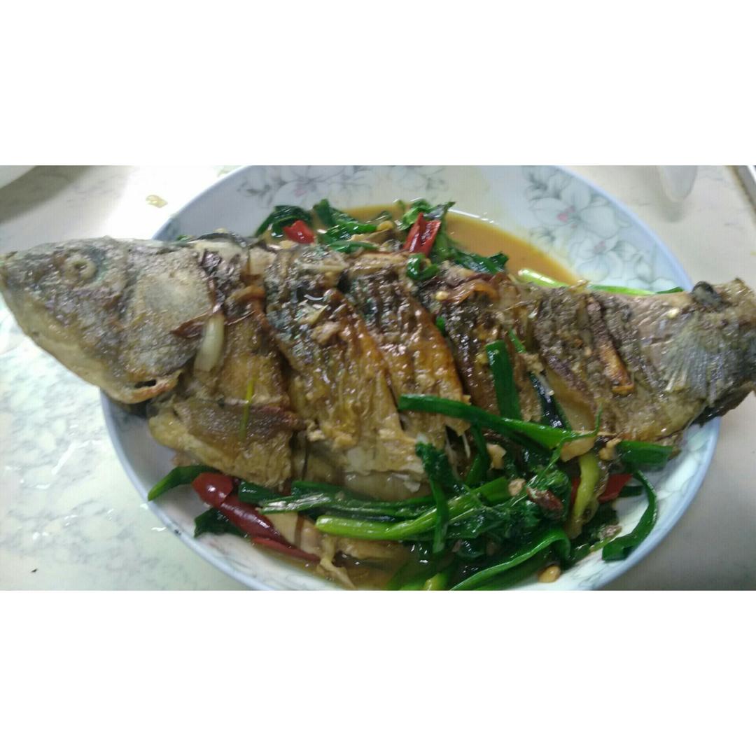 老丁的私房菜-红烧罗非鱼