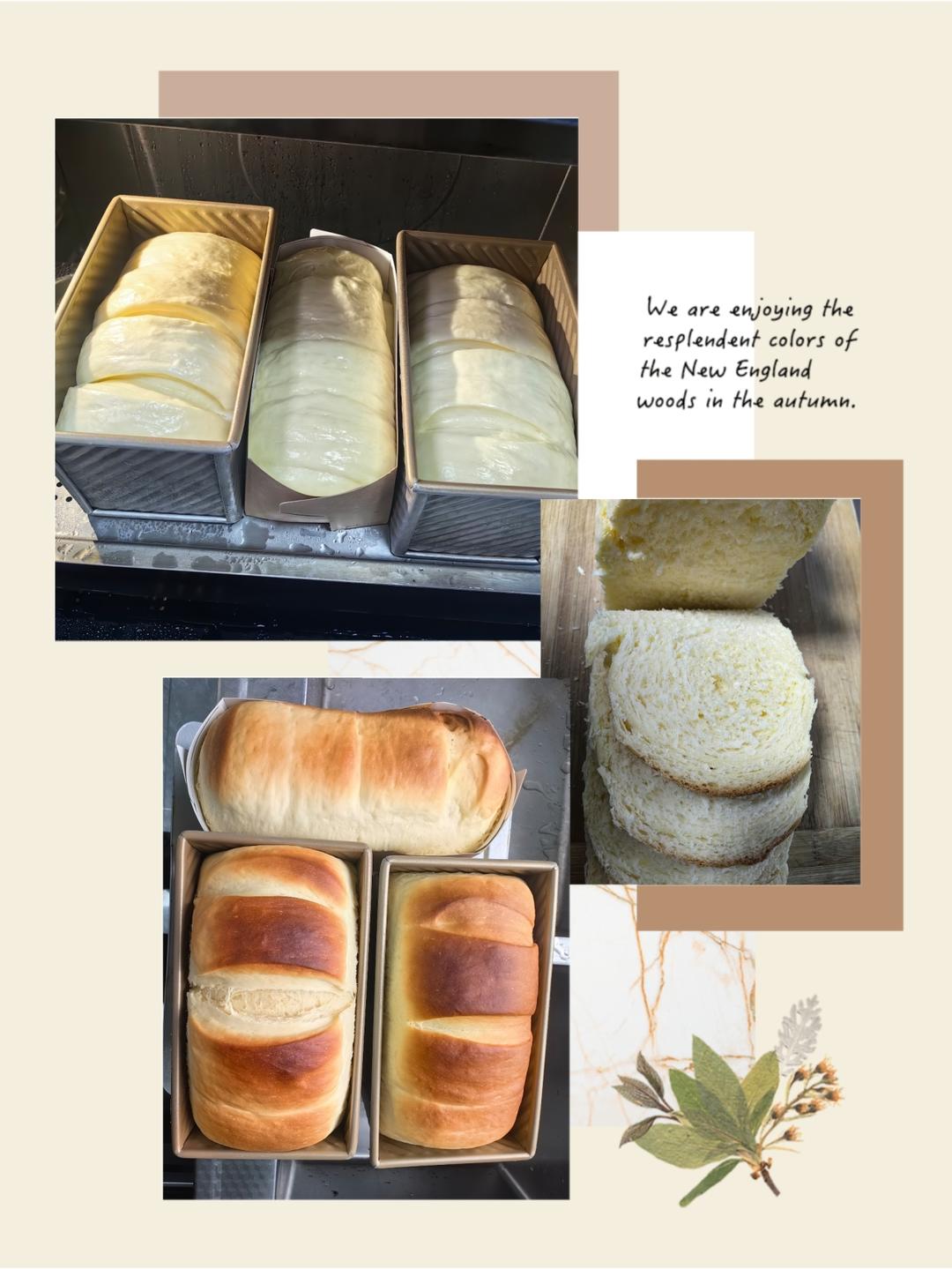 没做后悔，做了更后悔！后悔为啥没有早点儿做---绵绵绵吐司