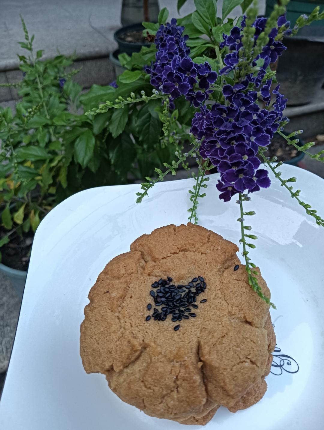 一碰掉渣的老式桃酥