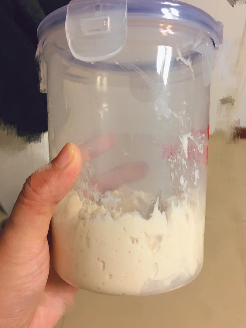 老面酵头 Bread Starter
