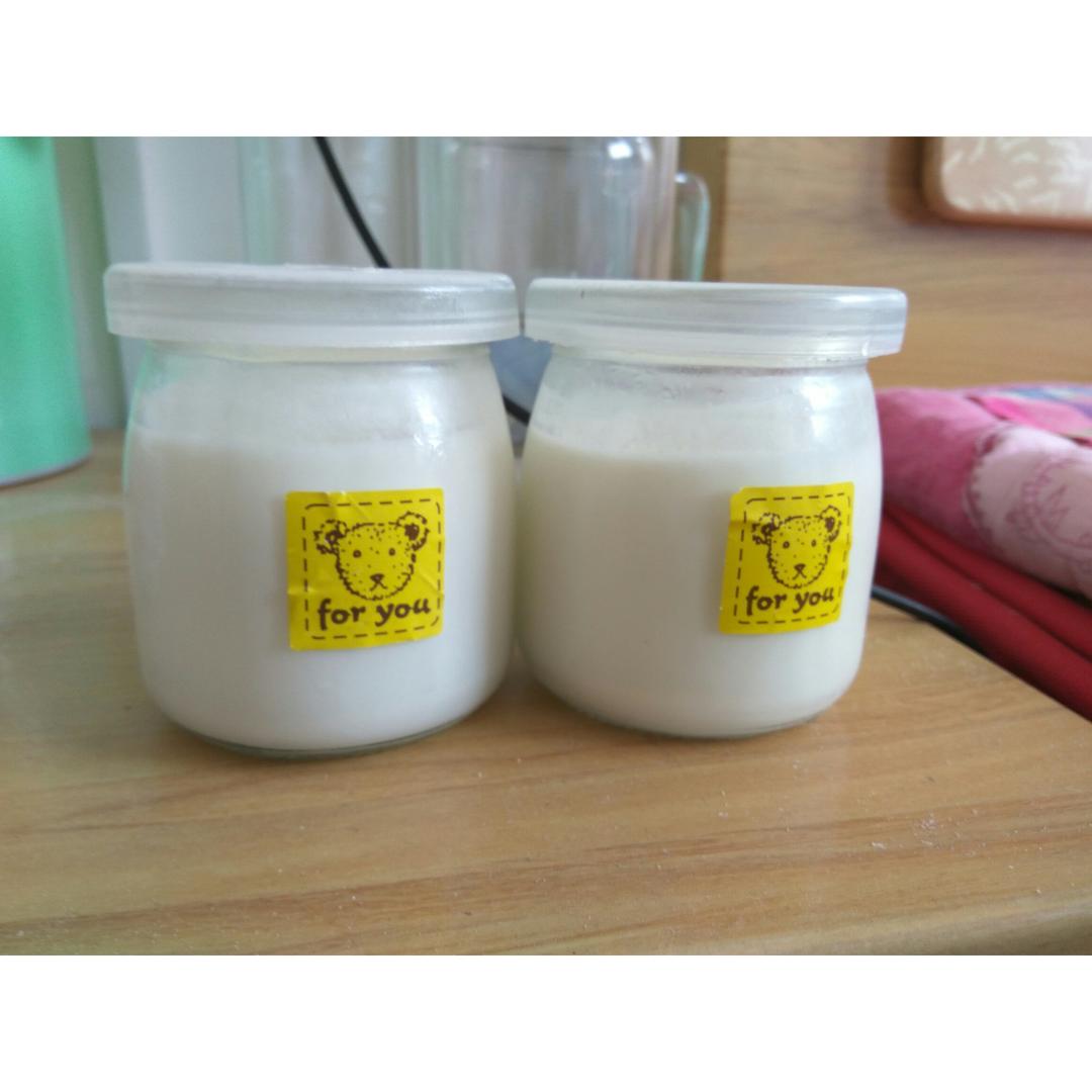 无需酸奶机的自制酸奶