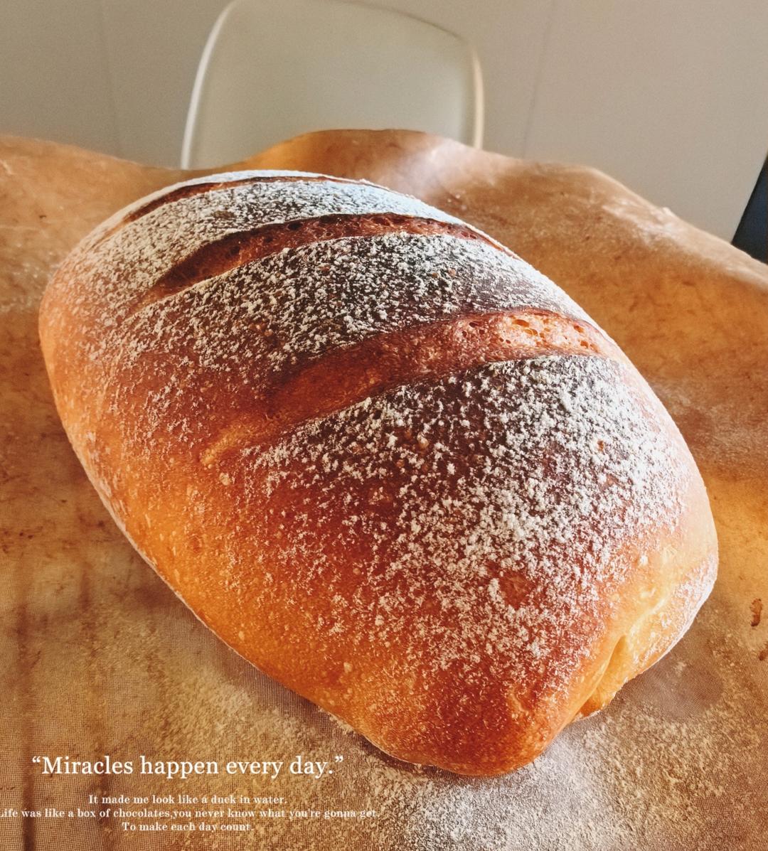 无油无糖！布鲁姆欧包~外脆内软超简单