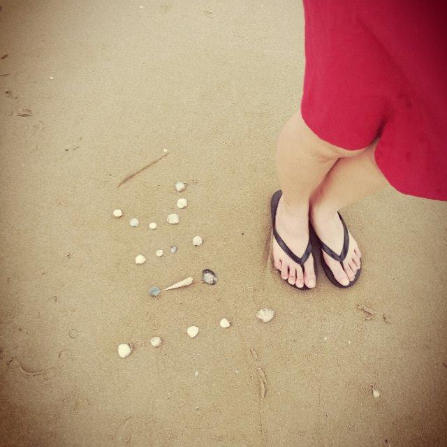 智慧豆小宇宙大爆发