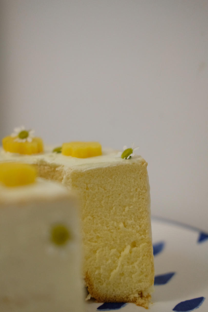 6寸，8寸，10寸戚风蛋糕配方（已更新）