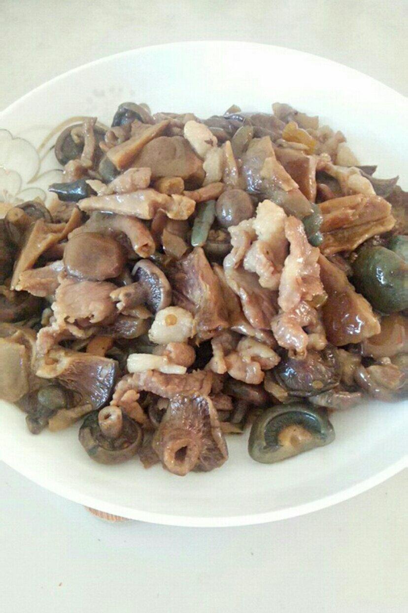 张张张丫a做的枞树菌