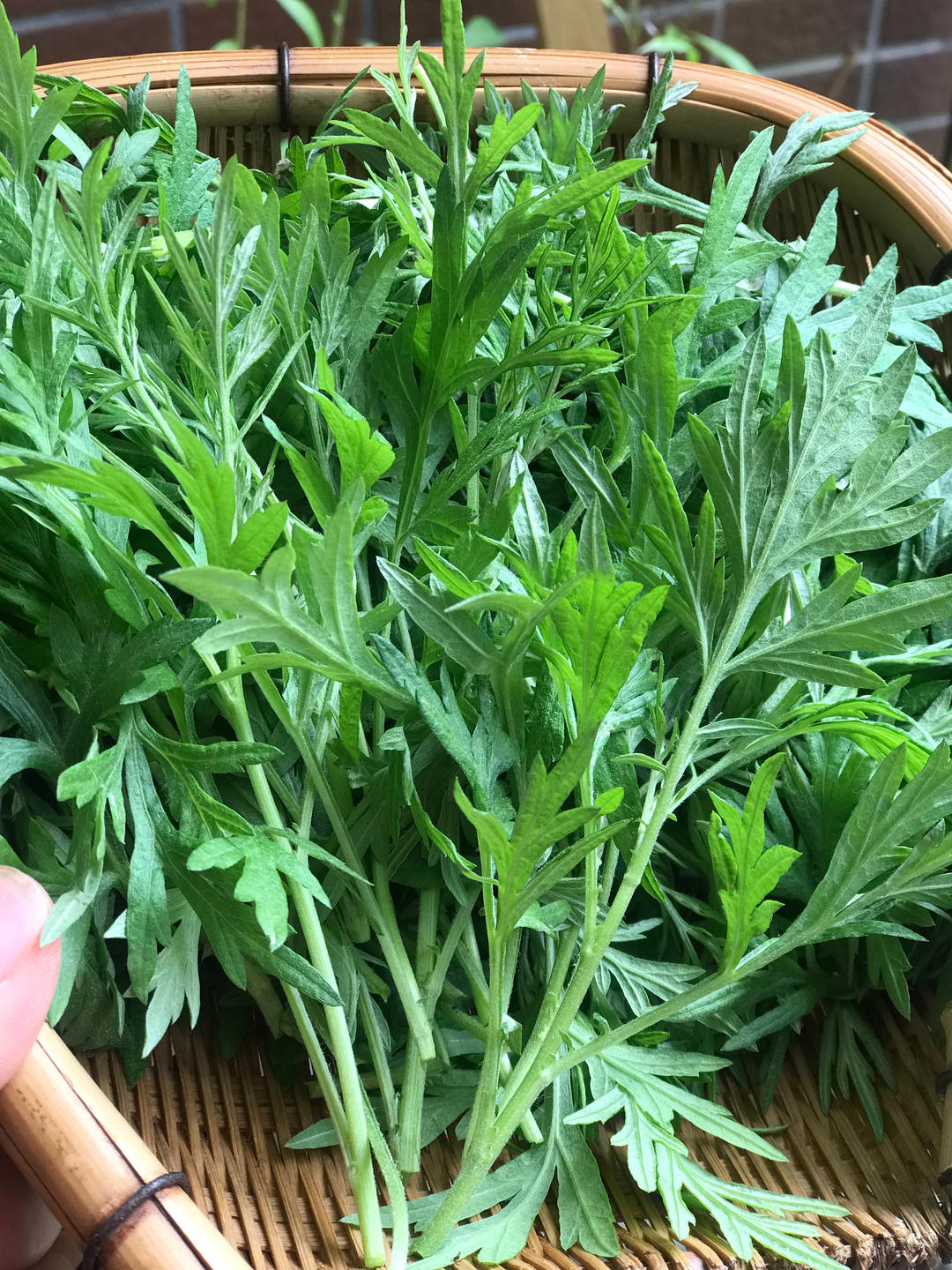 清明必吃的艾草青团