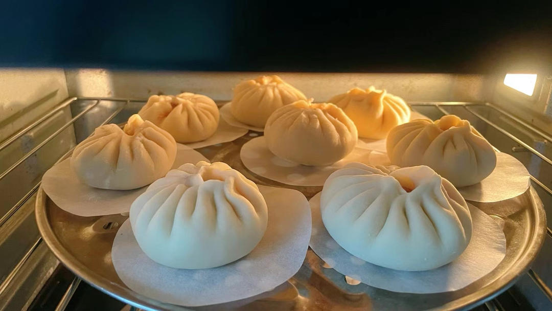 好吃多汁的肉包子肉馒头【步骤超详细】