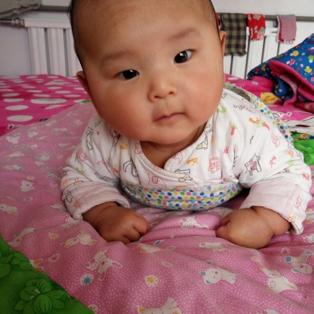 袋袋鼠妈妈