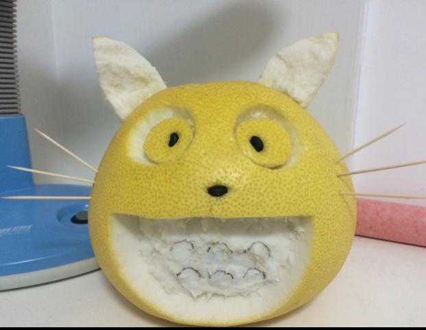 顽皮柚子龙猫