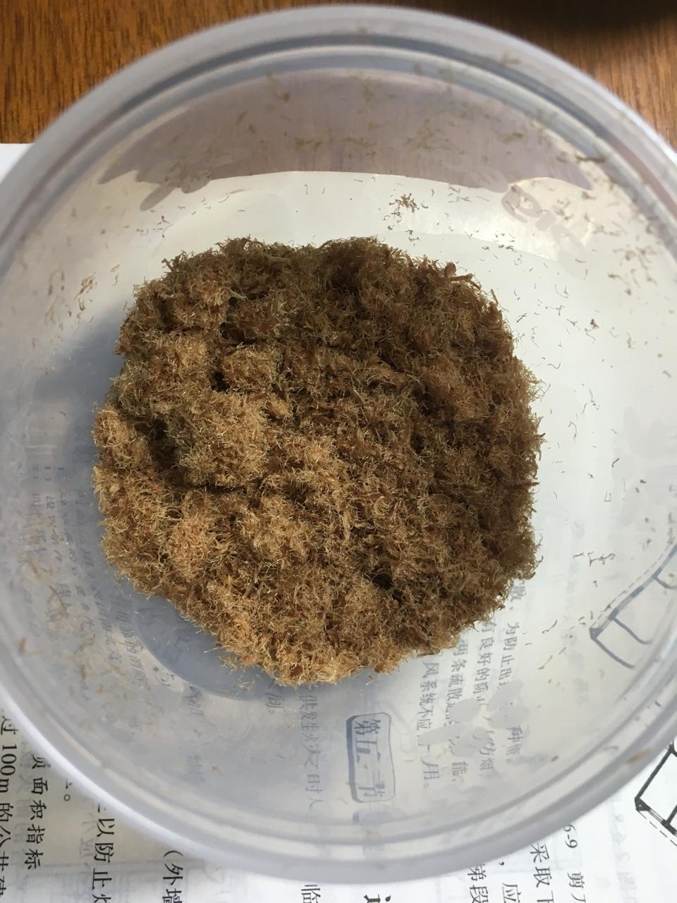 宝宝辅食元气满满牛肉松