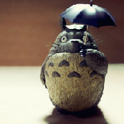 带伞的龙猫