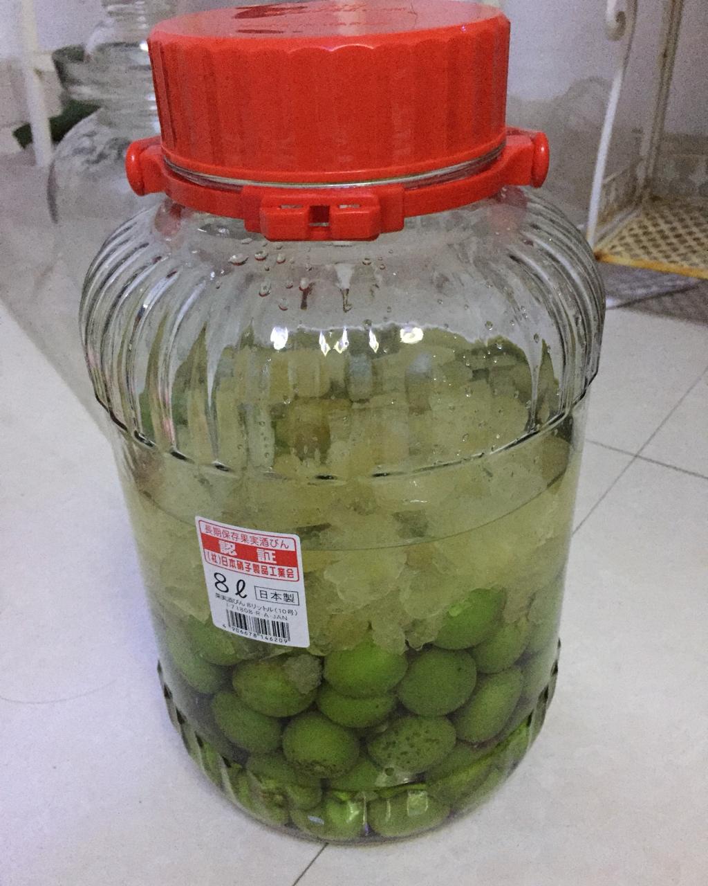 青梅酒（优的春日私酿第二話）