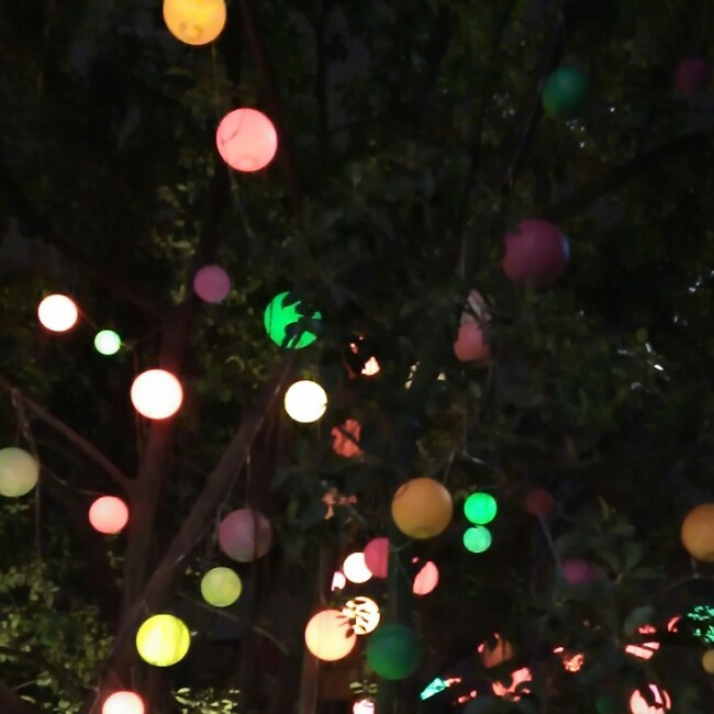 如果没有如果将会是怎么样呢