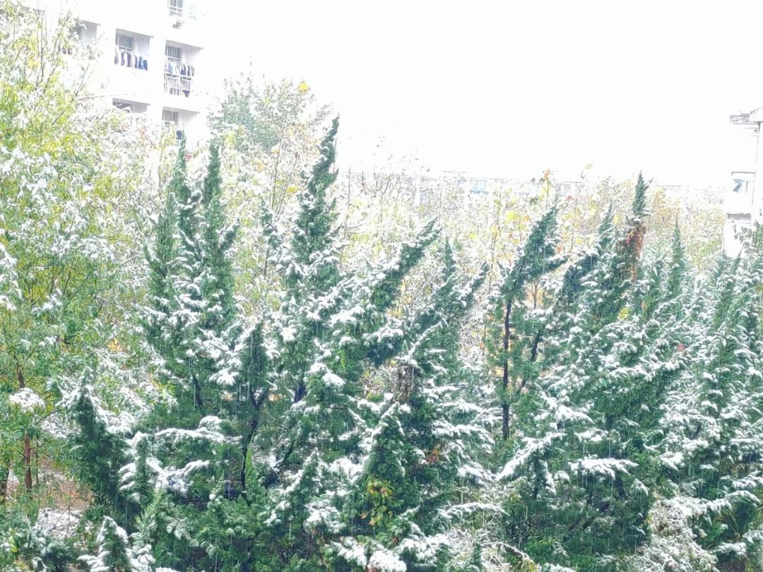 闪烁一下