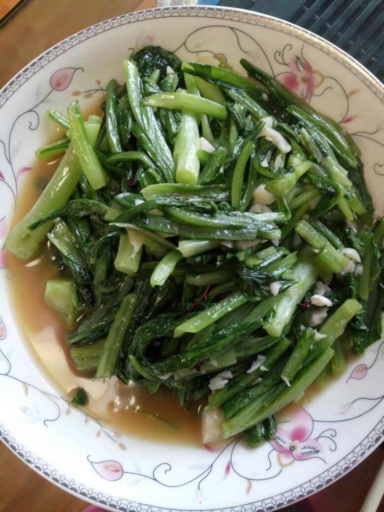 蚝油油麦菜