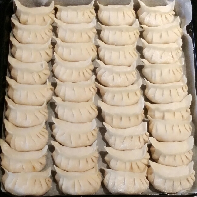 韭菜猪肉饺子(最简单最好吃又最多汁的饺子)