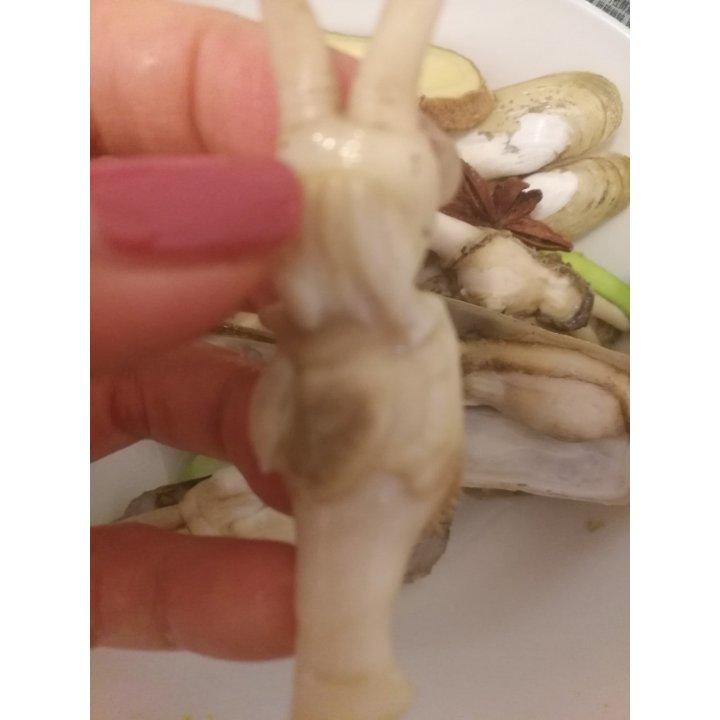 清煮白蚬子