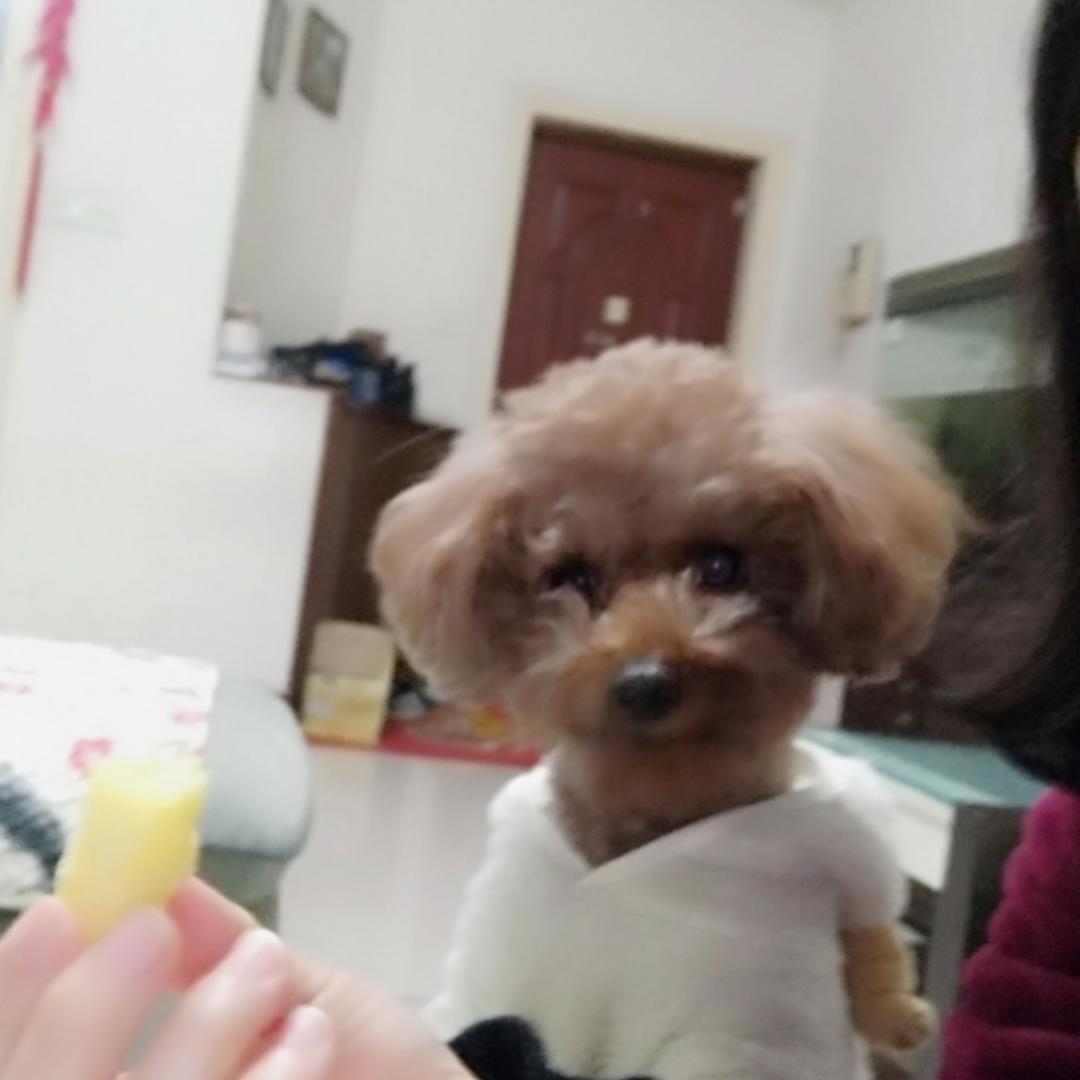 臭花花的妈妈