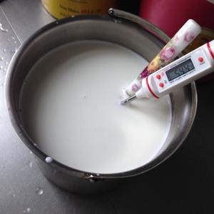自制酸奶—奶粉版的做法 步骤4