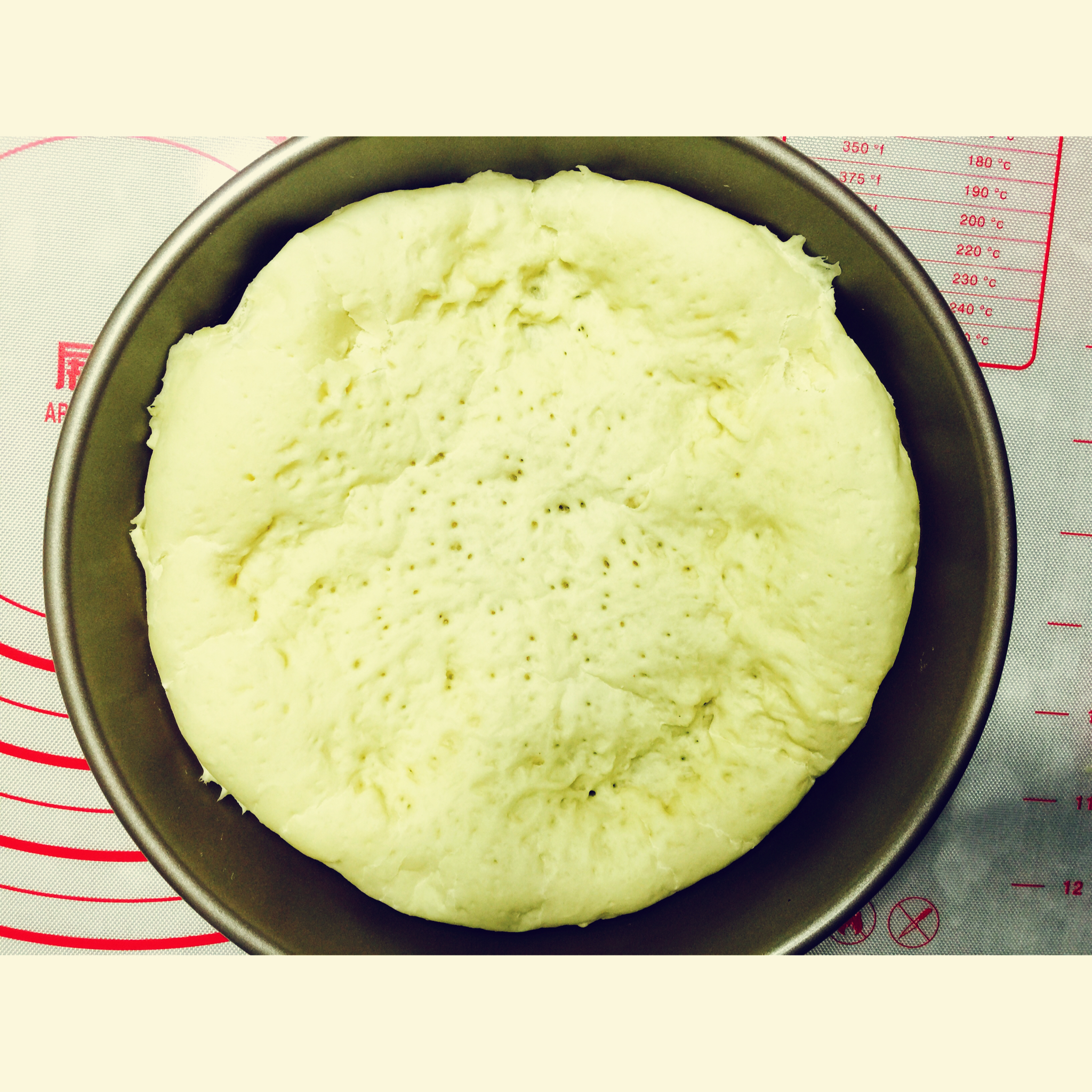 披萨底 Pizza Dough
