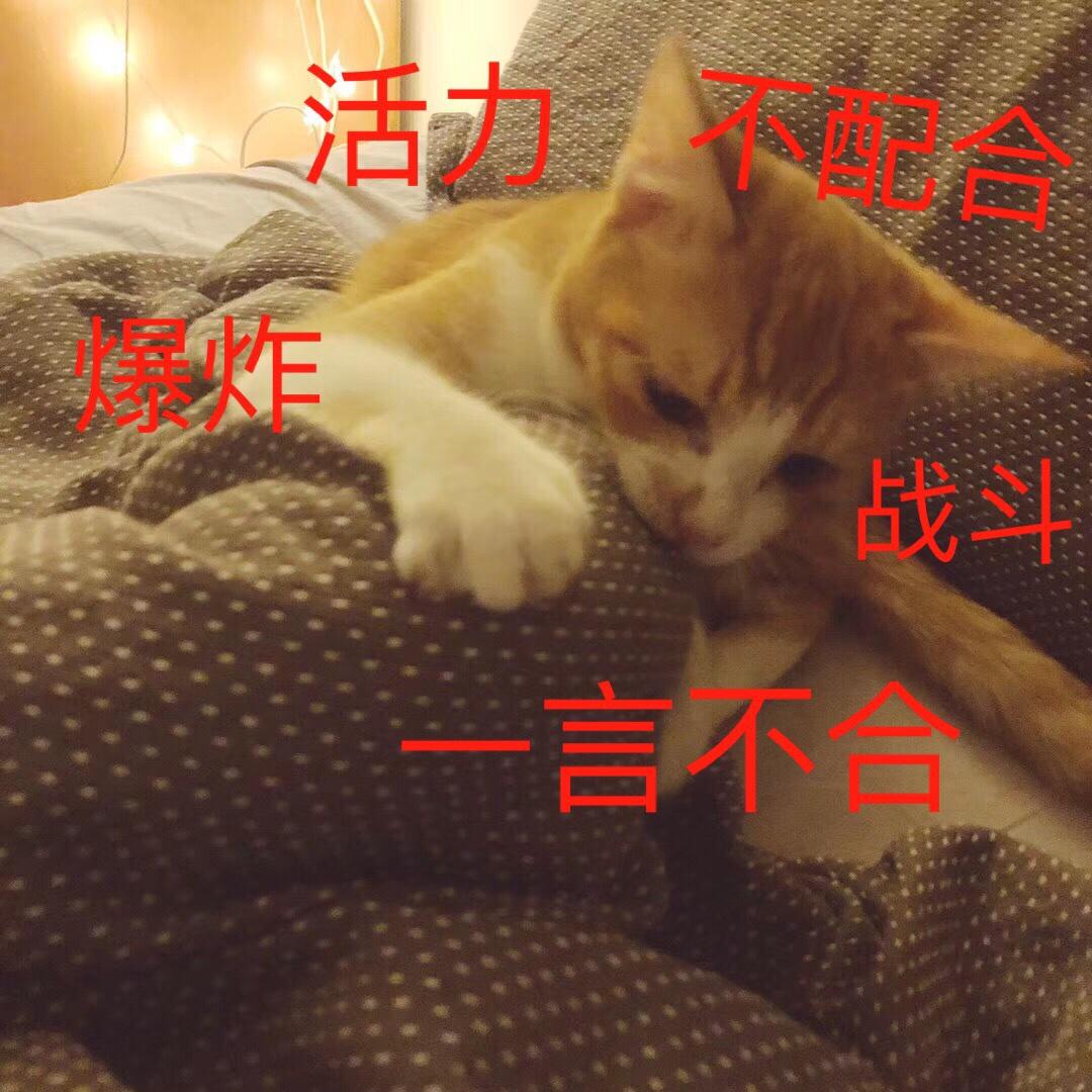 一张信纸