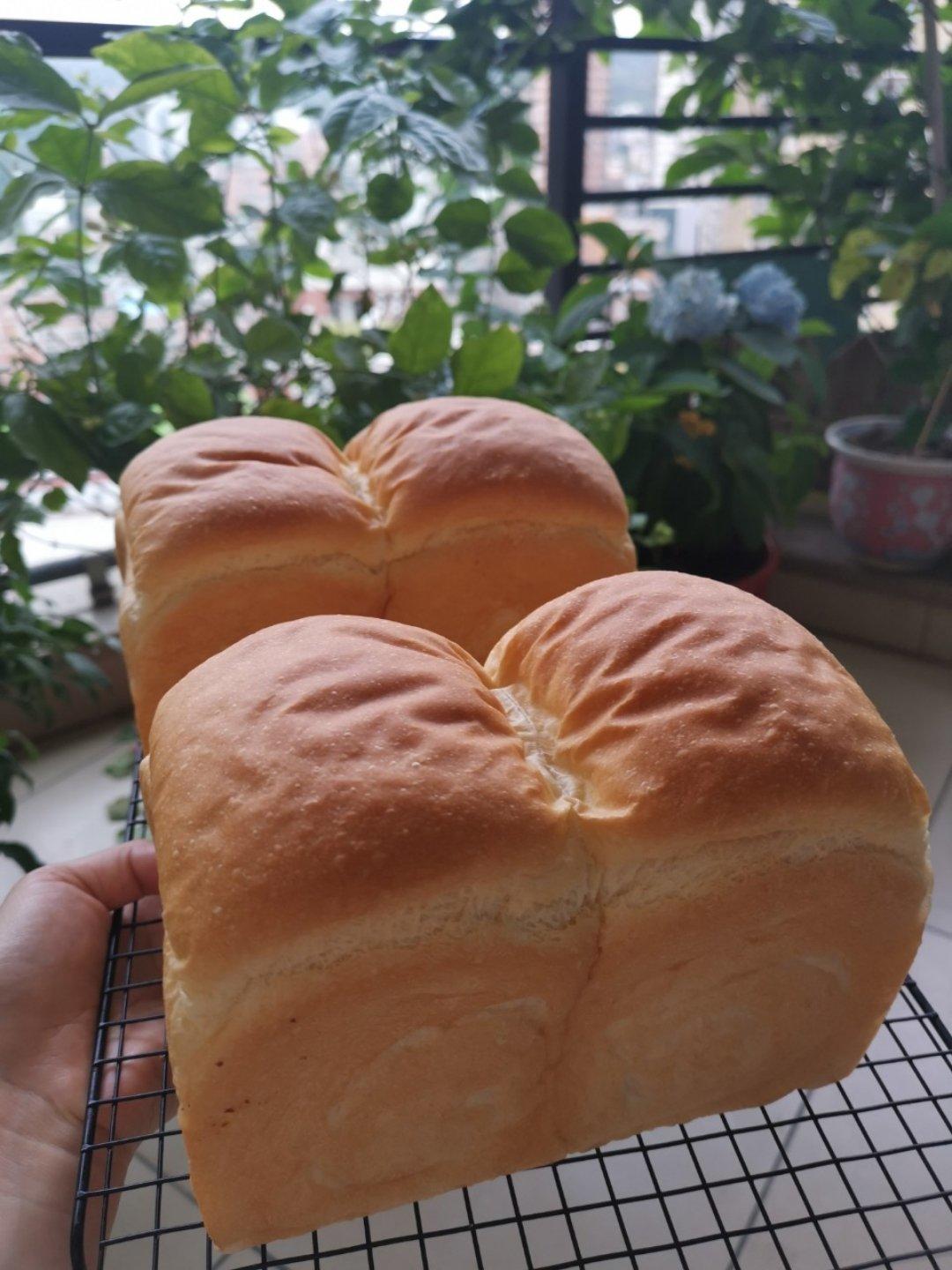 伊藤雅大的山形吐司