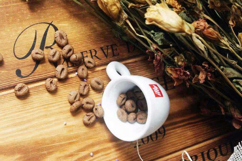 咖啡豆豆饼干
