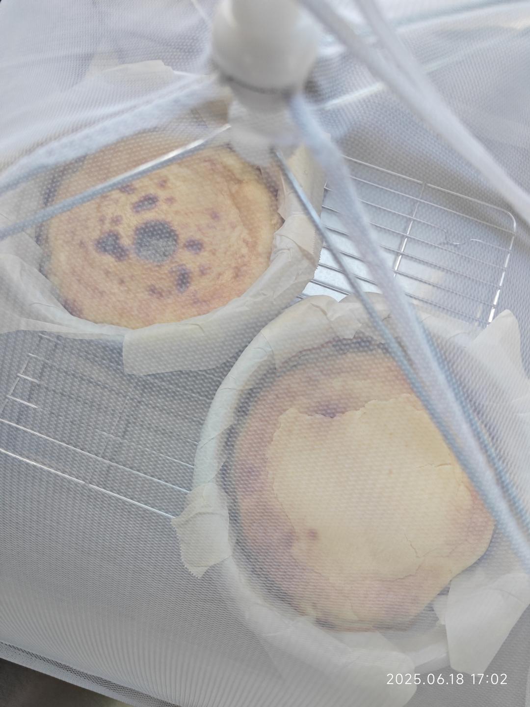 网红巴斯克芝士蛋糕