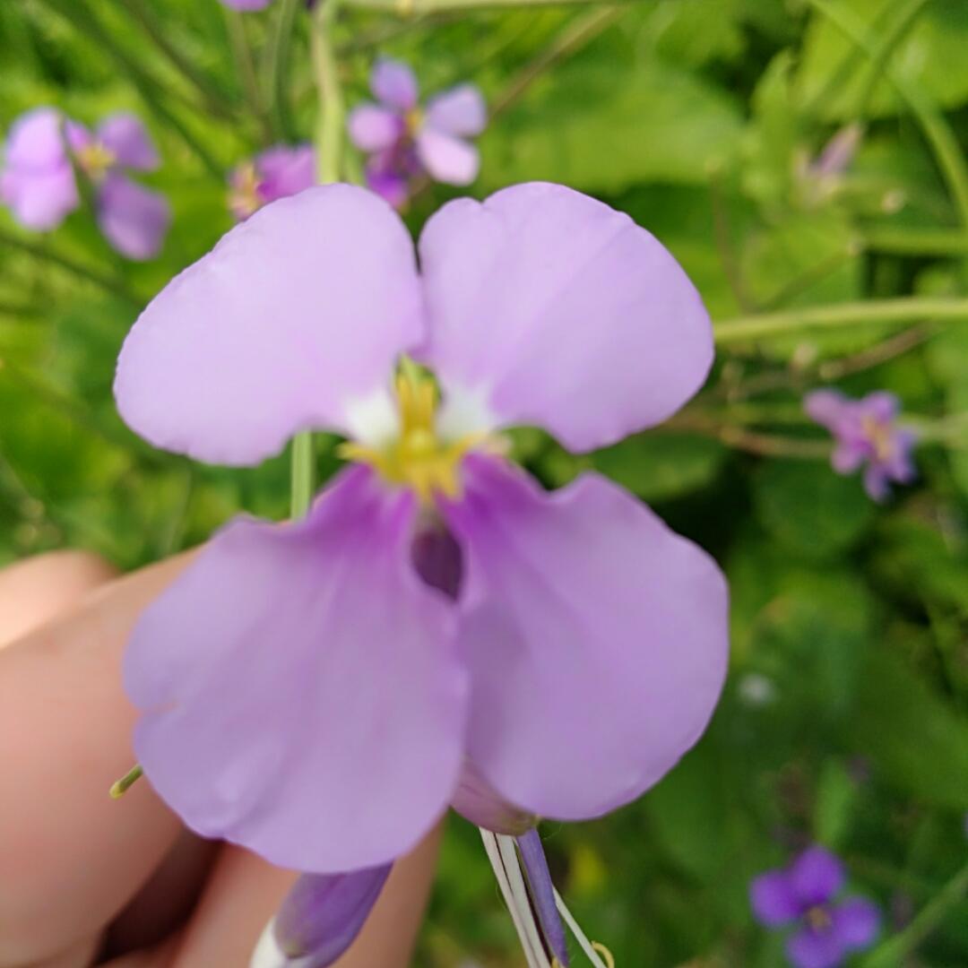 手机用户2347_57sn