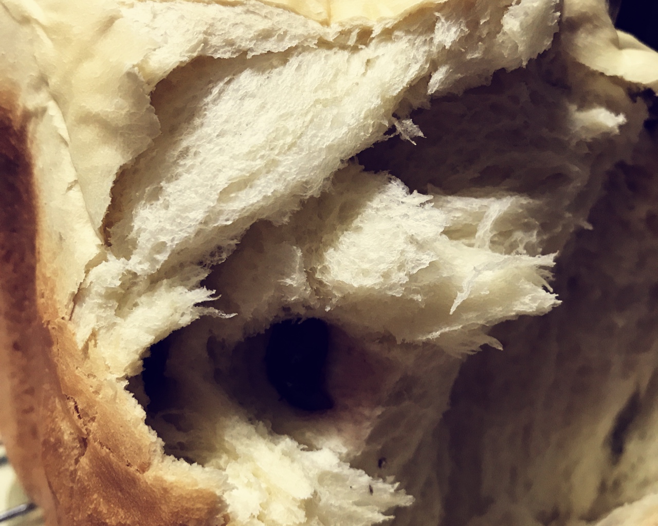 吐司面包（东菱面包机版）的做法