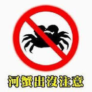 路过河蟹