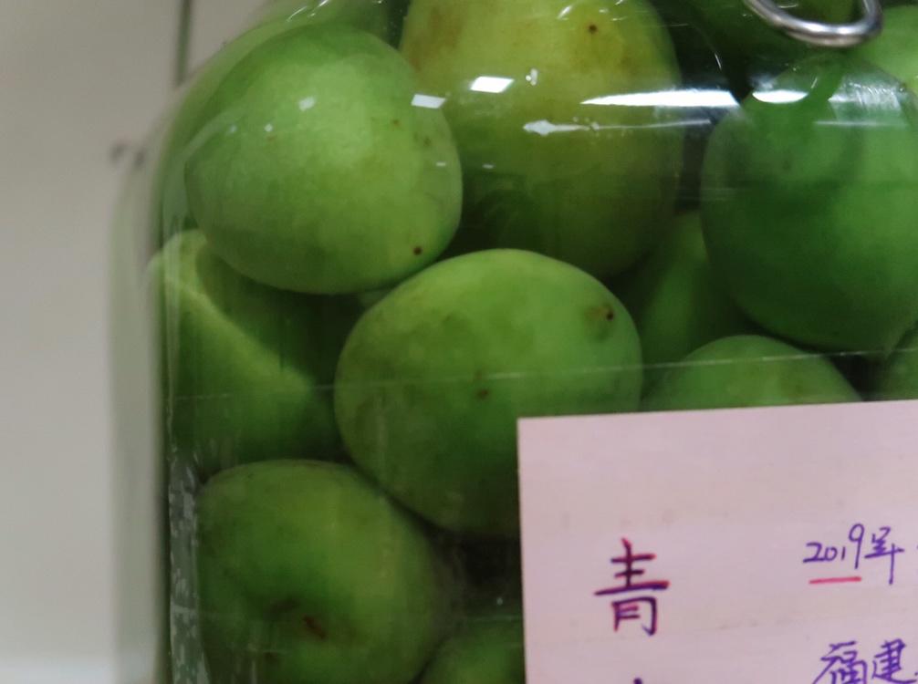 【青梅酒】梅子的沉醉时光（已填坑）