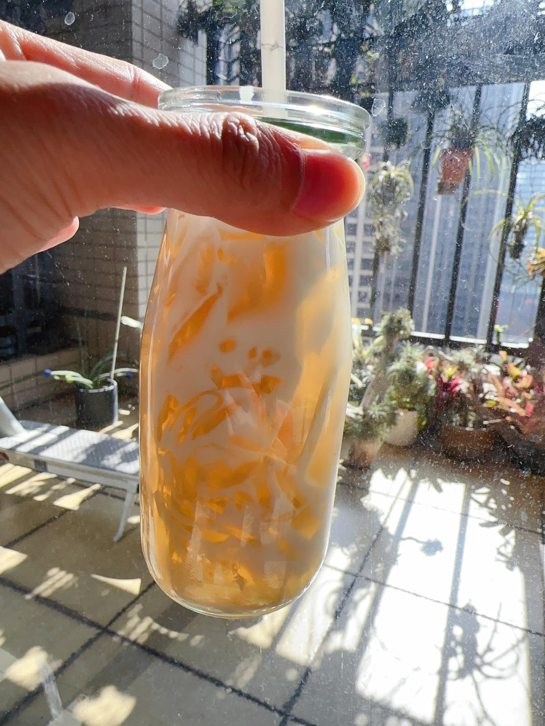 海底椰菊花雪梨膏(清热解毒)