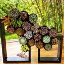 浮世繁花的厨房