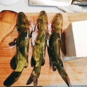 昂刺鱼炖豆腐汤的做法 步骤1